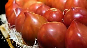 Afbeeldingsresultaat voor black oxheart tomato