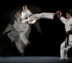 Image result for COMBAT TAEKWONDO