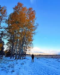 Image result for $$fall_akte__ort$$