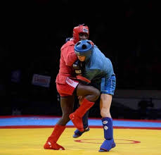 Image result for Combat Sambo