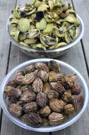 Attēlu rezultāti vaicājumam “Juglans cinerea fruit”