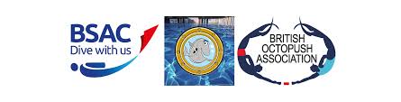 Image result for St. Albans Snorkelling Club (SASC)