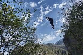 Image result for PONT DE SINGE