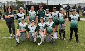 Image result for Cheetahs Softball Team