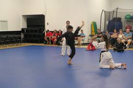 Image result for Sokudo Martial Arts Club