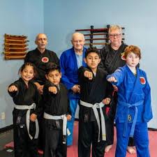 Image result for Dragon Martial Arts Association