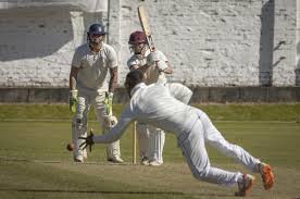 Image result for Drumpellier Cricket Club