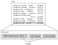 What is database? - A Word Definition From the Webopedia Computer ...