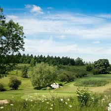 Image result for Greetham Valley Golf Club