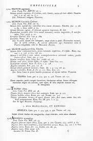 Attēlu rezultāti vaicājumam “Selinum carvifolia fruit”