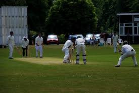 Image result for Hoddesdon Cricket Club