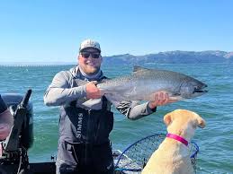 Image result for SHIRLEY SEA ANGLING CLUB