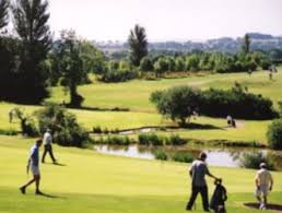 Image result for Taunton Vale Sports Club