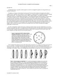 Attēlu rezultāti vaicājumam “Sordaria fimicola”