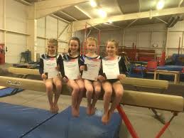 Image result for Torbay Olympic Gymnastics Club