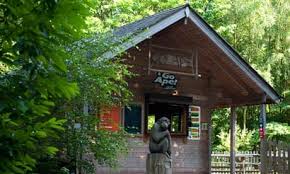 Image result for The Go Ape Experience (Swinley Forest)