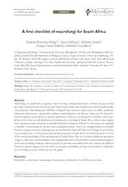 Attēlu rezultāti vaicājumam “Didymium xanthopus macro”