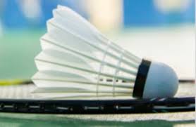 Image result for Top Flight Badminton Club