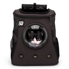 Image result for Black Cat Sac