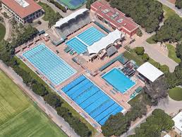 Image result for Buntingford Swimming Club