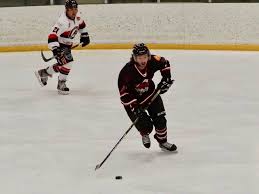 Image result for Vipers Roller Hockey Team