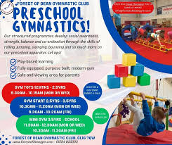 Image result for Forest Of Dean Gymnastics Club