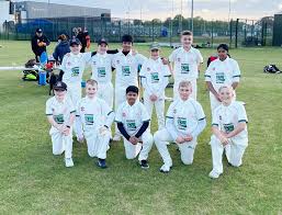 Image result for Sibton Park Cricket Club