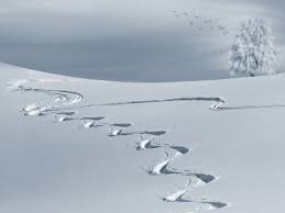 Image result for schnee