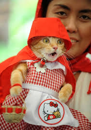 Jonna Baquillas holds her pet, a rescued cat named Rue, for an event to benefit the Philippine Animal Welfare Society in Manilla, Philippines. (AP) - Jonna-Baquillas-holds-her-pet-a-rescued-cat-named-Rue-for-an-event-to-benefit-the-Philippine-Animal-Welfare-Society-in-Manilla-Philippines.-AP