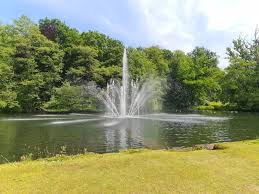 Image result for sonsbeek park