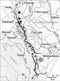 Attēlu rezultāti vaicājumam “Lophozia ascendens”