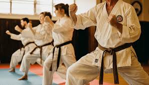 Image result for Okami Karate & Fitness Schools