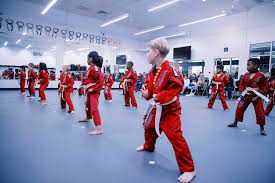 Image result for Professional  Martial Arts Academy