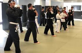 Image result for Hetton and Murton Karate Academy