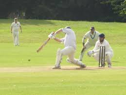Image result for Brodsworth Main Cricket Club