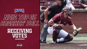 Image result for Thieves - The University Of Nottingham Baseball Club