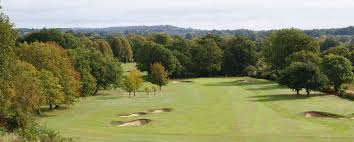 Image result for Betchworth Park Golf Club