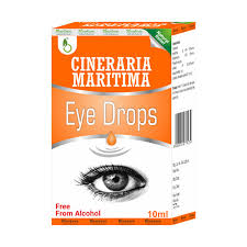 Image result for Cineraria maritima