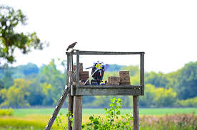 Image result for Spellbrook Clay Shooting Club