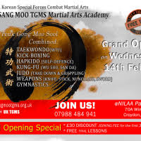 Image result for Moo Sool Academy