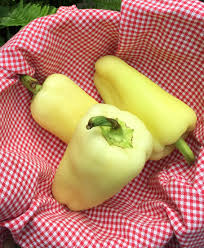 Afbeeldingsresultaat voor hungarian sweet white sweet pepper