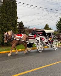 「ヴィクトリア＝パワード」の画像検索結果