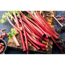 Attēlu rezultāti vaicājumam “Rheum rhabarbarum fruit”