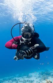 Image result for Meadurst Sub-Aqua Club