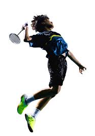 Image result for Bj Wanderers Badminton Club