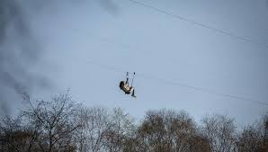 Image result for Go Ape! Thetford