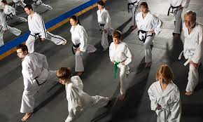 Image result for Martial Arts New Jersey