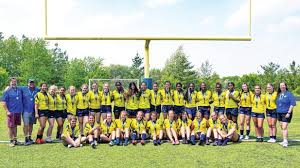 Image result for Mayfield Rugby League Football Club