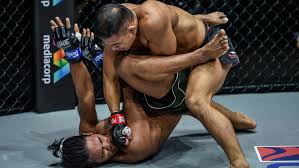 Image result for Chiltern MMA