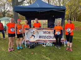 Image result for Wee County Harriers